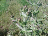 Select an image to enlarge