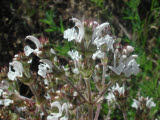 Select an image to enlarge