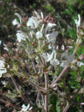 Select an image to enlarge