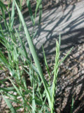 Select an image to enlarge
