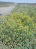 Select an image to enlarge