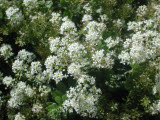 Select an image to enlarge