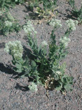 Select an image to enlarge