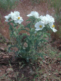 Select an image to enlarge