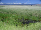 Select an image to enlarge