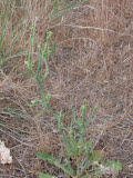 Select an image to enlarge