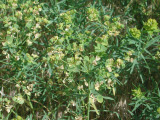 Select an image to enlarge