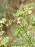 Select an image to enlarge