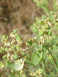 Select an image to enlarge