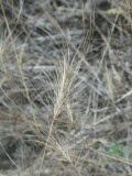 Select an image to enlarge