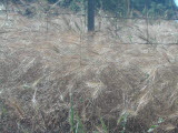 Select an image to enlarge