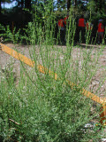 Select an image to enlarge