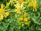 Select an image to enlarge