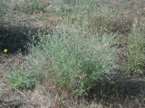 Select an image to enlarge