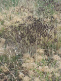 Select an image to enlarge