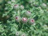 Select an image to enlarge