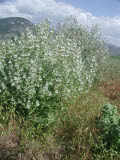 Select an image to enlarge