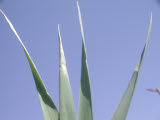 Select an image to enlarge