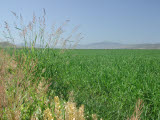 Select an image to enlarge