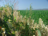 Select an image to enlarge