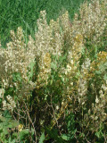Select an image to enlarge