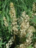 Select an image to enlarge