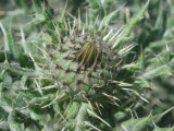 Select an image to enlarge