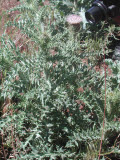 Select an image to enlarge
