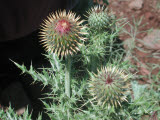 Select an image to enlarge