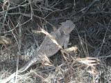 Select an image to enlarge