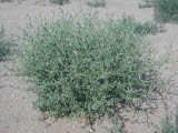 Select an image to enlarge