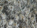Select an image to enlarge