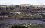 Select an image to enlarge