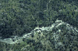 Select an image to enlarge