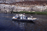 Select an image to enlarge