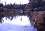 Select an image to enlarge