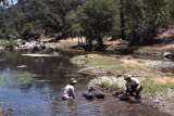Select an image to enlarge