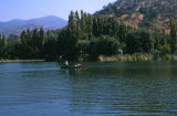 Select an image to enlarge