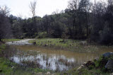 Select an image to enlarge