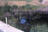 Select an image to enlarge