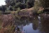 Select an image to enlarge