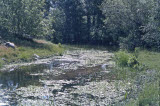 Select an image to enlarge