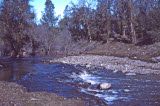 Select an image to enlarge