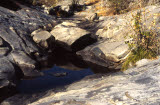 Select an image to enlarge