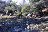 Select an image to enlarge