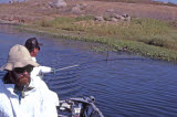 Select an image to enlarge