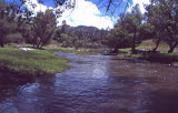 Select an image to enlarge