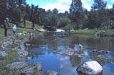 Select an image to enlarge