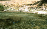 Select an image to enlarge