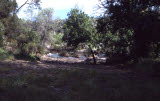 Select an image to enlarge